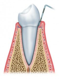 healthy-tooth-224x300